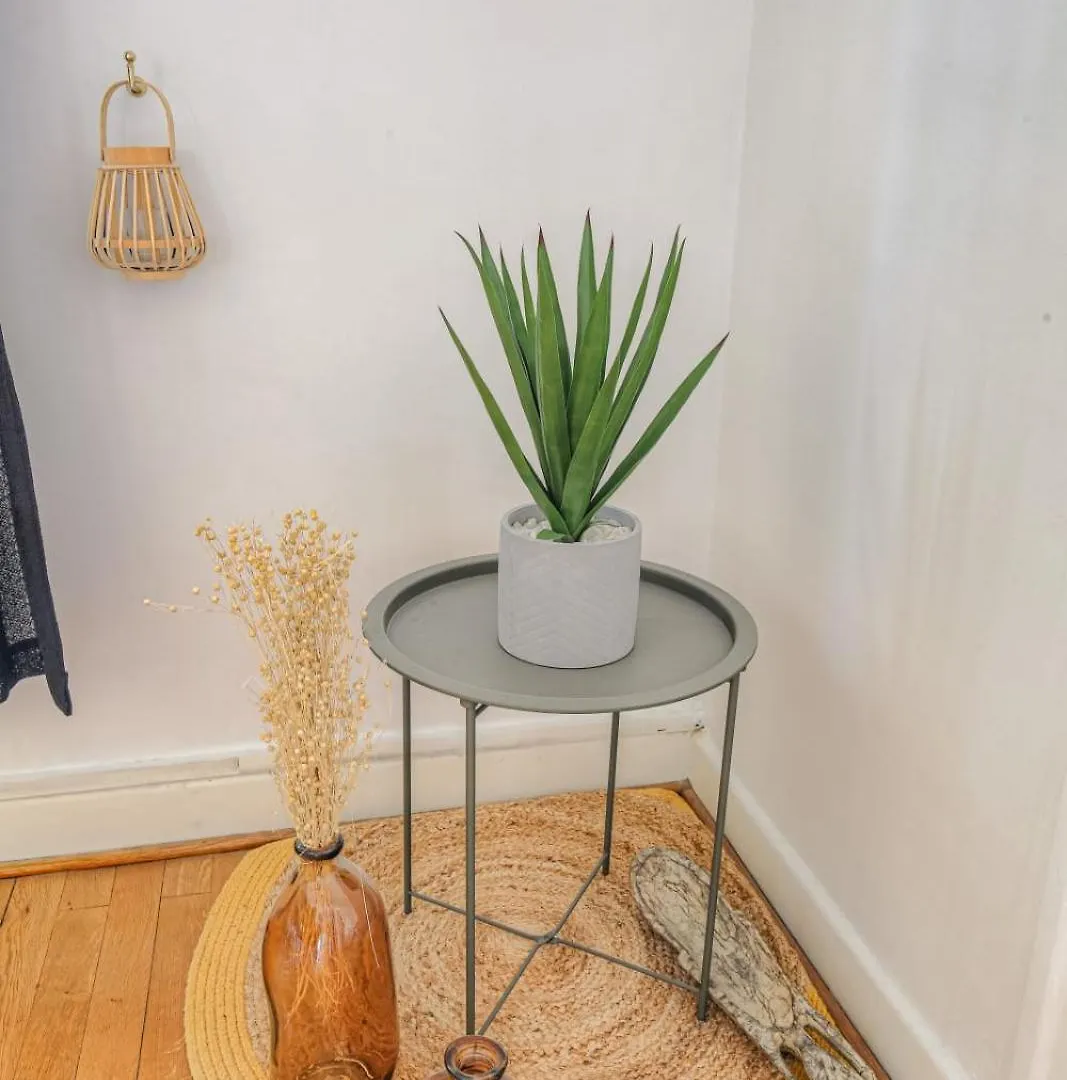 Chaleureux Et Cosy Avec Garage Prive Apartment Villeurbanne 0*,